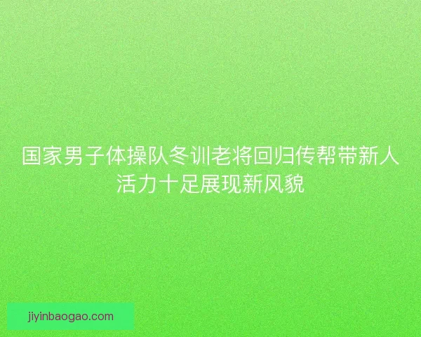 国家男子体操队冬训老将回归传帮带新人活力十足展现新风貌