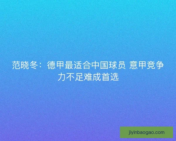 范晓冬：德甲最适合中国球员 意甲竞争力不足难成首选